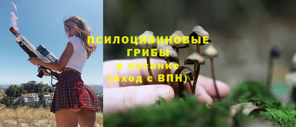 крисы Беломорск