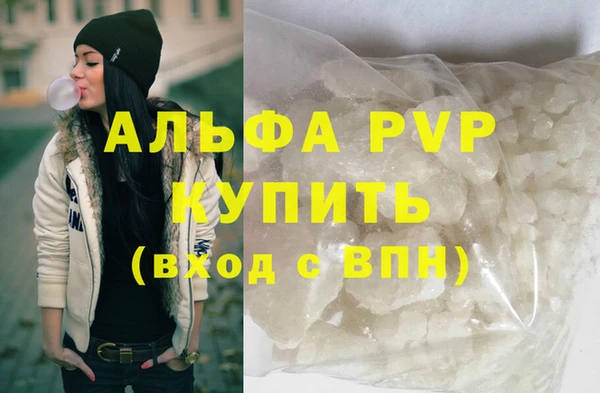 spice Инта