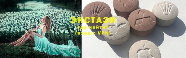 стаф Богданович